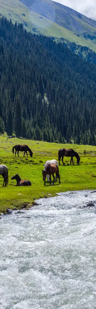 Kasachstan und Kirgistan – Canyons, singende Dünen und wilde Bergtäler